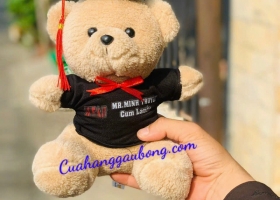 Cuahanggaubong.com sản xuất gấu bông Ideas in tên riêng theo yêu cầu khách hàng