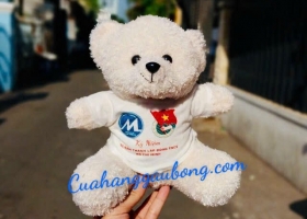 Cửa Hàng Gấu Bông - Cuahanggaubong.com Sản Xuất 200 Gấu Quà Tặng Cho Trường Đại Học Tài Chính Market