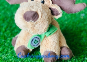 Cuahanggaubong.com sản xuất 200 gấu bông quà tặng cho St.nicholas School