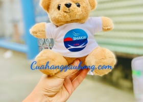 Cuahanggaubong.com vừa hoàn thành đơn hàng sản xuất 200 gấu bông theo yêu cầu của trường ngoại ngữ S