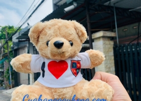 Cuahanggaubong.com sản xuất 200 gấu bông quà tặng cho trường Cao Đẳng Nova