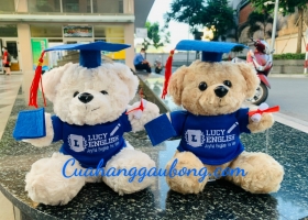 Cuahanggaubong.com hoàn thành sản xuất 500 gấu bông theo yêu cầu trường anh ngữ LUCY ENGLISH