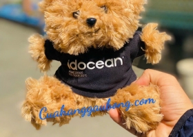 Cửa hàng gấu bông sản xuất 500 bé gấu bông cho  cty Idocean để tri ân khách hàng