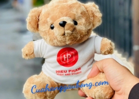 Cửa hàng gấu bông sản xuất 100 bé gấu bông đễ thương theo yêu cầu của Hieu Pham Baby and studio Dong