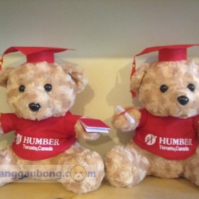 Cửa hàng gấu bông - Niềm vui nhân đôi cùng gấu bông tốt nghiệp Humber Toronto