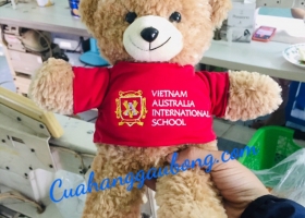 Cuahanggaubong.com hoàn thành đơn hàng 200 gấu bông theo yêu cầu cho hệ thống trường VAS-Vietnam-Aus