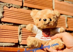 Cuahanggaubong.com đã sản xuất 300 con gấu bông cho Trường Mầm non Hoàn Mỹ.