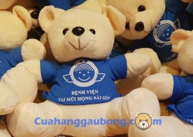 Cửa Hàng Gấu Bông Hợp Tác Sản Xuất Gấu Bông Theo Yêu Cầu Cùng Bệnh Viện Tai Mũi Họng Sài Gòn