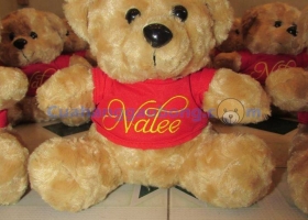 Cửa hàng gấu bông - Gấu bông độc quyền theo yêu cầu công ty Nalee