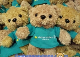Cửa Hàng Gấu Bông Hợp Tác Cùng Vietnam Airlines Sản Xuất Đơn Hàng Gấu Bông Theo Yêu Cầu