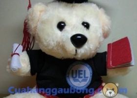 Cửa hàng gấu bông – Gấu bông tốt nghiệp Đại học Kinh tế - Luật TPHCM