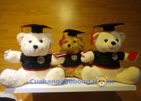 Cửa hàng gấu bông - Gấu bông tốt nghiệp Đại học Quốc tế Miền Đông