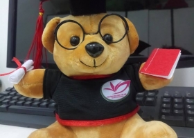Cửa hàng gấu bông - Gấu bông tốt nghiệp Trường Đại học Tây Đô