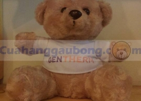 Cửa hàng gấu bông - Hợp tác cùng Tập đoàn đa quốc gia Gentherm