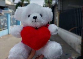 Cửa hàng gầu bông sản xuất những bé gấu bông ôm tim theo yêu cầu của khách hàng 