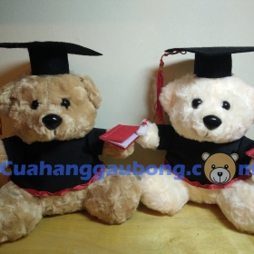 Gấu bông tốt nghiệp (20cm)
