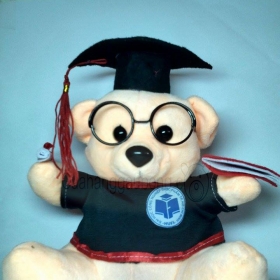 Gấu bông tốt nghiệp đại học Công nghiệp thực phẩm