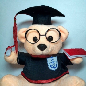 Gấu bông tốt nghiệp đại học giao thông vận tải