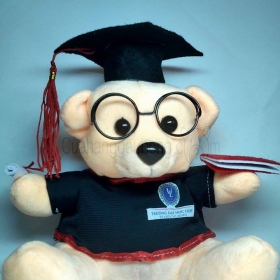 Gấu bông tốt nghiệp đại học luật
