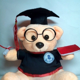 Gấu bông tốt nghiệp đại học Ngân hàng