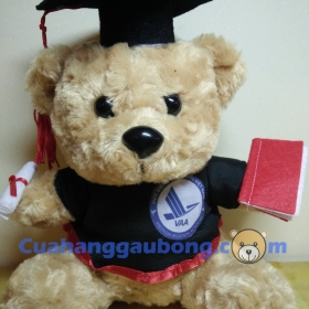 Gấu bông tốt nghiệp Học Viện Hàng Không (20cm)